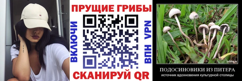 Псилоцибиновые грибы ЛСД  Троицк 